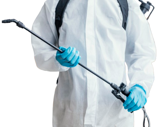 Pest Control Service